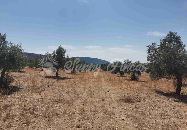 Helårsgrund i Biar, Alicante, Biar - € 27.500 | Ref: SF0511 - foto 1
